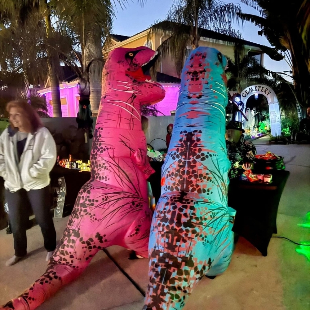 Inflatable Dinosaur Costumes in Blue and Pink
